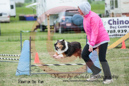 Baron---OC Agility - AB/NWT Regional Championships---June 09, 2013                                <p>PLEASE CLICK THE PRICE BOX BELOW TO DISPLAY MORE PRICE OPTIONS.</p>