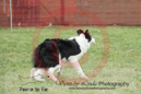 Best---OC Agility - AB/NWT Regional Championships---June 07, 2013                                <p>PLEASE CLICK THE PRICE BOX BELOW TO DISPLAY MORE PRICE OPTIONS.</p>