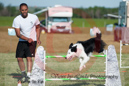 Best---OC Agility - AB/NWT Regional Championships---June 08, 2013                                <p>PLEASE CLICK THE PRICE BOX BELOW TO DISPLAY MORE PRICE OPTIONS.</p>