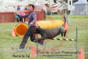 Odin---OC Agility - AB/NWT Regional Championships---June 07, 2013                                <p>PLEASE CLICK THE PRICE BOX BELOW TO DISPLAY MORE PRICE OPTIONS.</p>