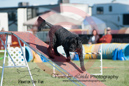 Odin---OC Agility - AB/NWT Regional Championships---June 08, 2013                                <p>PLEASE CLICK THE PRICE BOX BELOW TO DISPLAY MORE PRICE OPTIONS.</p>