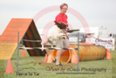 Scooter Jones---OC Agility - AB/NWT Regional Championships---June 07, 2013                                <p>PLEASE CLICK THE PRICE BOX BELOW TO DISPLAY MORE PRICE OPTIONS.</p>