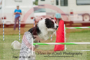 Simon---OC Agility - AB/NWT Regional Championships---June 07, 2013                                <p>PLEASE CLICK THE PRICE BOX BELOW TO DISPLAY MORE PRICE OPTIONS.</p>