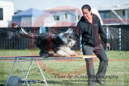 Sprite---OC Agility - AB/NWT Regional Championships---June 08, 2013                                <p>PLEASE CLICK THE PRICE BOX BELOW TO DISPLAY MORE PRICE OPTIONS.</p>