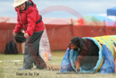 Tatum---OC Agility - AB/NWT Regional Championships---June 09, 2013                                <p>PLEASE CLICK THE PRICE BOX BELOW TO DISPLAY MORE PRICE OPTIONS.</p>