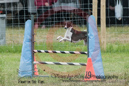 Topaz---OC Agility - AB/NWT Regional Championships---June 09, 2013                                <p>PLEASE CLICK THE PRICE BOX BELOW TO DISPLAY MORE PRICE OPTIONS.</p>