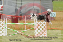 Wynd---OC Agility - AB/NWT Regional Championships---June 07, 2013                                <p>PLEASE CLICK THE PRICE BOX BELOW TO DISPLAY MORE PRICE OPTIONS.</p>