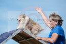 Tia---Huckleberry Hounds AAC Trials - Kelowna---August 25, 2013                                <p>PLEASE CLICK THE PRICE BOX BELOW TO DISPLAY MORE PRICE OPTIONS.</p>
